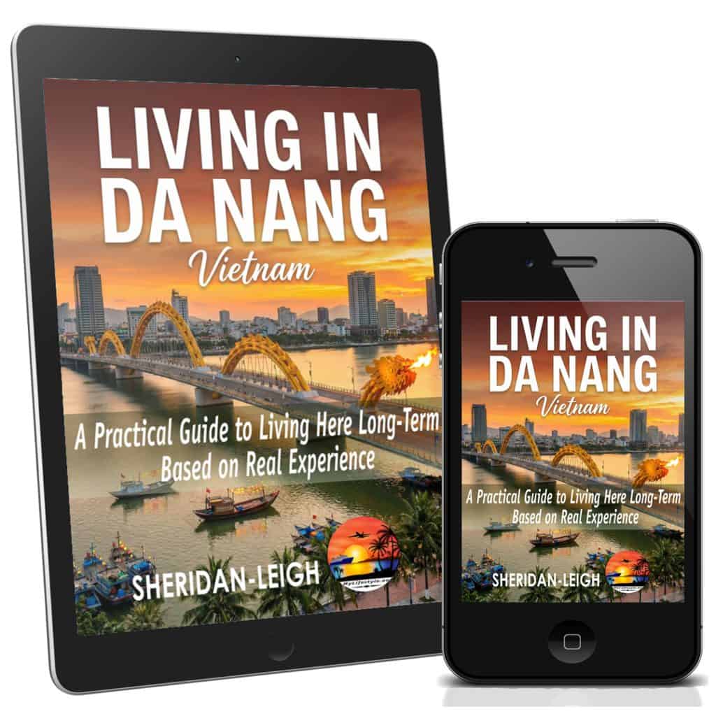 Book cover featuring Da Nang cityscape and river scene.
